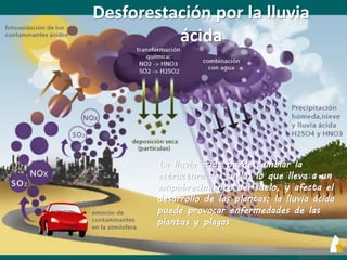 Desforestación por la lluvia
ácida
La lluvia ácida puede cambiar la
estructura del suelo, lo que lleva a un
empobrecimiento del suelo, y afecta el
desarrollo de las plantas; la lluvia ácida
puede provocar enfermedades de las
plantas y plagas
 