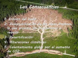 Las Consecuencias
1. Erosion del suelo.
2. Desestabilización de las capas freátcas,
lo que provoca las inundaciones o
sequías.
3. Desertificación.
4. Alteraciones climáticas.
5. Calentamiento global por el aumento
de CO2.
 
