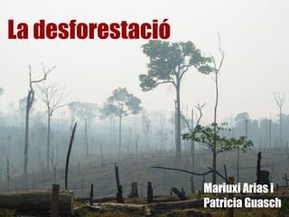 La desforestació




                   Mariuxi Arias i
                   Patricia Guasch
 
