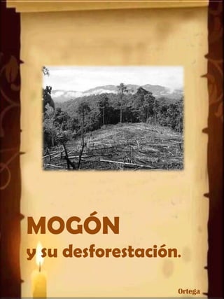 MOGÓN
y su desforestación.
Ortega

 