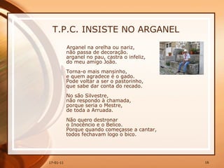 T.P.C. INSISTE NO ARGANEL  Arganel na orelha ou nariz,  não passa de decoração.  arganel no pau, castra o infeliz,  do meu amigo João.  Torna-o mais mansinho,  e quem agradece é o gado.  Pode voltar a ser o pastorinho,  que sabe dar conta do recado.  No são Silvestre,  não respondo à chamada,  porque seria o Mestre,  de toda a Arruada.  Não quero destronar  o Inocêncio e o Belico.  Porque quando começasse a cantar,  todos fechavam logo o bico. 