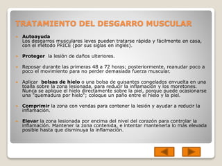 TRATAMIENTO DEL DESGARRO MUSCULAR
 Autoayuda
Los desgarros musculares leves pueden tratarse rápida y fácilmente en casa,
con el método PRICE (por sus siglas en inglés).
 Proteger la lesión de daños ulteriores.
 Reposar durante las primeras 48 a 72 horas; posteriormente, reanudar poco a
poco el movimiento para no perder demasiada fuerza muscular.
 Aplicar bolsas de hielo o una bolsa de guisantes congelados envuelta en una
toalla sobre la zona lesionada, para reducir la inflamación y los moretones.
Nunca se aplique el hielo directamente sobre la piel, porque puede ocasionarse
una "quemadura por hielo"; coloque un paño entre el hielo y la piel.
 Comprimir la zona con vendas para contener la lesión y ayudar a reducir la
inflamación.
 Elevar la zona lesionada por encima del nivel del corazón para controlar la
inflamación. Mantener la zona contenida, e intentar mantenerla lo más elevada
posible hasta que disminuya la inflamación.
 