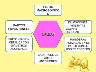FETOS
MACROSÓMICO
S
DILATACIONES
VIOLENTAS
VAGINAS
FIBROSAS
MANIOBRAS
FORZADAS EN EL
PARTO CON EL
USO DE FÓRCEPS
CICATRICES DE
PARTOS
ANTERIORES
PARTOS
ESPONTÁNEOS
PRESENTACIÓN
CEFÁLICA CON
DIÁMETROS
ANORMALES
 