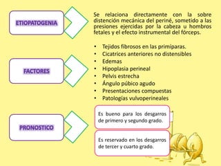 • Tejidos fibrosos en las primíparas.
• Cicatrices anteriores no distensibles
• Edemas
• Hipoplasia perineal
• Pelvis estrecha
• Ángulo púbico agudo
• Presentaciones compuestas
• Patologías vulvoperineales
Se relaciona directamente con la sobre
distención mecánica del periné, sometido a las
presiones ejercidas por la cabeza u hombros
fetales y el efecto instrumental del fórceps.
Es bueno para los desgarros
de primero y segundo grado.
Es reservado en los desgarros
de tercer y cuarto grado.
 