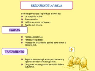 Son desgarros que se produce a nivel de:
La horquilla vulvar
Parauretrales
Labios menores y mayores
Región del clítoris.
Partos operatorios
Partos precipitados
Protección forzada del periné para evitar la
episiotomía.
Reparación quirúrgica con pinzamiento y
ligadura de los vasos sangrantes.
Desgarros no sangrantes también deben
suturarse.
 