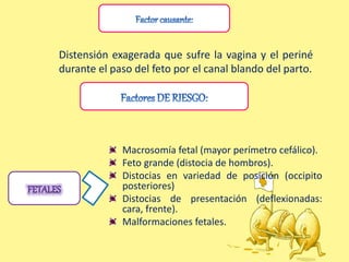 Distensión exagerada que sufre la vagina y el periné
durante el paso del feto por el canal blando del parto.
Macrosomía fetal (mayor perímetro cefálico).
Feto grande (distocia de hombros).
Distocias en variedad de posición (occipito
posteriores)
Distocias de presentación (deflexionadas:
cara, frente).
Malformaciones fetales.
 