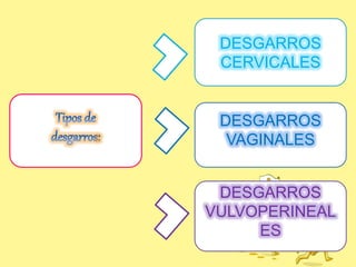 DESGARROS
CERVICALES
DESGARROS
VAGINALES
DESGARROS
VULVOPERINEAL
ES
 