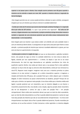 Por Ana Catarina Gomes 2012
[14]
superior e vai passar para a direita. Esta rotação ocorre primeiro com 90 graus quando o
intestino sai do embrião e depois em mais 180 quando o intestino efectua a regressão da
hérnia fisiológica.
Esta imagem permite-nos ver a ansa caudal primitiva a deslocar-se para a direita, conseguem
imaginar por isso um intestino que está já a retornar à cavidade abdominal.
É então por volta da 6ª semana que ocorre esta herniação umbilical fisiológica. E a regressão
dá-se por volta da 10ª semana. E o que é que permite esta regressão? Por volta da 10ª
semana, o fígado abranda o seu crescimento, o próprio embrião já atinge dimensões maiores e
também a regressão de uma estruturas posterior que até então estava relativamente bem
desenvolvida – o rim mesonéfrico.
Esta imagem para vos mostrar o que estava a falar: um embrião com uma cavidade maior e
com um intestino já dentro desta. E conseguimos ver aqui outra coisa para qual chamo a vossa
atenção.: a primeira porção do intestino que retorna à cavidade abdominal é o jejuno, por isso
este vai situar-se superiormente e à esquerda.
A ultima parte a entrar é a região do cego (em que se vai desenvolver o apêndice também).
Assim, esta porção do cego ao entrar na cavidade abdominal, no incio situa-se abaixo do
fígado, estando por isso superiormente e à direita. Só depois é que ele se vai situar
inferiormente. Ao nível do cego desenvolve-se um apêndice vermiforme (no início do
quadrante superior direito, mas acaba por descer para a sua posiçao final e estes apêndice
acaba por se situar atrás do cego ou atrás do cólon descendente, sendo por isso retrocecal ou
retro???). Reparem nesta imagem: imaginem mais uma vez o intestino primitivo no plano
mediano só no eixo vertical e imaginam ali a artéria mesentérica superior e imaginam a
rotação anti-horária dos 270 graus, daí a posição final que o cólon adquire quer o intestino
delgado. O cólon transverso vai passar anteriormente ao duodeno, porquê? Porque ele vai
rodar para a direita e vai aparecer nesta posição. Já vos disse então que o intestino médio está
ligado à parede posterior por um mesentério, que no intestino delgado se vai chamar o
mesentério propriamente dito, mas devido a esta rotação, algumas porções deste mesentério
vão ter de desaparecer e vamos ter aqui o cólon em posição final – em posição
retroperitoneal. Vêem então este mesentério dorsal, que quer ao nível do cólon ascendente,
quer ao nível do cólon descendente se vai fixar à parede abdominal posterior e vamos ter aqui
mais duas porções do intestino que vão ser secundáriamente retroperitoneais – no início eram
intarperitoneais mas depois vão-se fixar à parede abdominal posterior, ficando revestidas por
peritoneu só na sua face anterior. O cólon transverso e cólon sigmóide e o intestino delgado
 