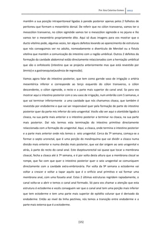 Por Ana Catarina Gomes 2012
[15]
mantêm a sua posição intraperitoneal ligadas à parede posterior apenas pelos 2 folhetos de
peritoneu que formam o mesentério dorsal. De referir que no cólon transverso, vamos ter o
mesocólon transverso, no cólon sigmóide vamos ter o mesocólon sigmoide e no jejuno e ílio
vamos ter o mesentério propriamente dito. Aqui só duas imagens para vos mostrar que o
ducto vitelino pode, algumas vezes, ter alguns defeitos levando ao aparecimento de estruturas
que nós conseguimos ver no adulto, nomeadamente o divertículo de Merckel ou a fístula
vitelina que mantém a comunicação do intestino com a região umbilical. Outros 2 defeitos da
formação da cavidade abdominal estão directamente relaccionados com a herniação umbilical
que são o onfolocelo (intestino que se projecta anteriormente mas que está revestido por
âmnio) e a gastroesquise(ausênsia de regressão).
Vamos agora falar do intestino posterior, que tem como garnde vaso de irrigação a artéria
mesentérica inferior e corresponde ao terço esquerdo do cólon transverso, o cólon
descendente, o cólon sigmoide, o recto e a parte mais superior do canal anal. So para vos
mostrar aqui o intestino posterior com o seu vaso de irrigação, num embrião com 5 semanas, e
que vai terminar inferiormente a uma cavidade que nós chamamos cloaca, que também é
revestida por endoderme e que vai ser responsável quer pela formação de parte do intestino
posterior quer da parte mis inferior do seio urogenital. Vocês vão ver aqui o alantóide ligado à
cloaca, na sua parte mais anterior e o intestino posterior a terminar na cloaca, na sua parte
mais posterior. Daí nós termos esta terminação do intestino primitivo directamente
relaccionada com a formação do urogenital. Aqui, a cloaca, onde termina o intestino posterior
e a parte mais anterior onde nós temos o seio urogenital. Cerca da 7ª semana, comaça-se a
formar o septo urorectal, que é uma porção do mesênquima que vai dividir a cloaca numa
divisão mais enterior e numa divisão mais posterior, que vai dar origem ao seio urogenital e
atrás, à parte do recto do canal anal. Este dseptourorectal vai quase que tocar a membrana
cloacal, fecha a cloaca até à 7ª semana, e é por volta desta altura que a membrana clocal se
rompe, que faz com que quer o intestino posterior quer o seio urogenital se comuniquem
directamente com a cavidade extra-embrionária. Por volta da 9ª semana a ectoderme vai
voltar a crescer e voltar a tapar aquilo que é o orificio anal primitivo e vai formar uma
membrana anal, com uma fosseta anal. Estas 2 últimas estruturas regridem rapiadamente, o
canal volta-se a abrir e temos o canal anal formado. Só para vos chamar a atenção que esta
estrutura é ectoderme e vocês conseguem ver que o canal anal tem uma porção mais inferior
que tem ectoderme e tem uma parte mais superior de epitélio colunar que é derivado da
endoderme. Então ao nivel da linha pectínea, nós temos a transição entre endoderme e a
parte mais externa que é a ectoderme.
 