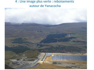 4 : Une image plus verte : reboisements  autour de Yanacocha 