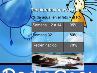 % de agua  en el feto y el RN Deshidratación en Pediatría. Semana  12 a 14 95% Semana 32 80% Recién nacido 78% 