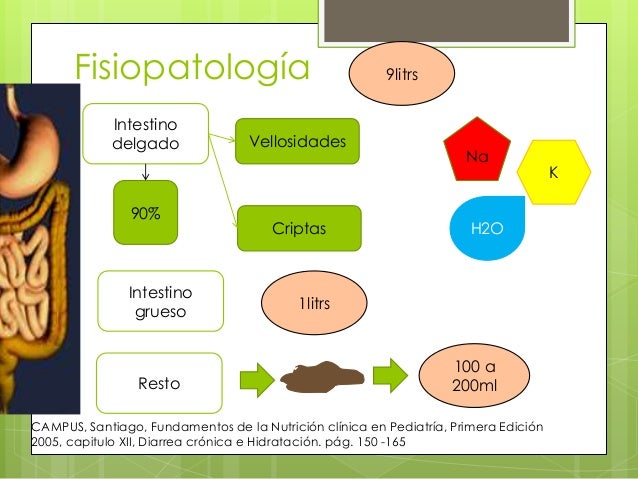 Deshidratacion pediatrica Deshidratacion pediatrica