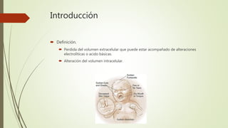 Introducción
 Definición.
 Perdida del volumen extracelular que puede estar acompañado de alteraciones
electrolíticas o acido básicas.
 Alteración del volumen intracelular.
 