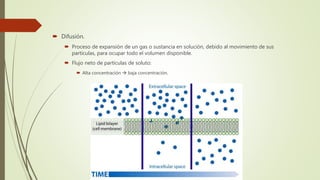  Difusión.
 Proceso de expansión de un gas o sustancia en solución, debido al movimiento de sus
partículas, para ocupar todo el volumen disponible.
 Flujo neto de partículas de soluto:
 Alta concentración  baja concentración.
 