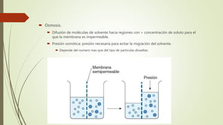  Osmosis.
 Difusión de moléculas de solvente hacia regiones con > concentración de soluto para el
que la membrana es impermeable.
 Presión osmótica: presión necesaria para evitar la migración del solvente.
 Depende del numero mas que del tipo de partículas disueltas.
 
