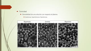  Tonicidad.
 Osmolalidad de una solución con respecto al plasma.
 Isotónicas, hipertónicas e hipotónicas.
 