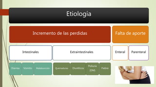 Etiología
Incremento de las perdidas
Intestinales
Diarrea Vomito Malabsorción
Extraintestinales
Quemaduras Diuréticos
Poliuria
(DM)
Fiebre
Falta de aporte
Enteral Parenteral
 