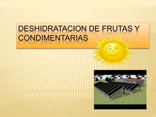 DESHIDRATACION DE FRUTAS Y
CONDIMENTARIAS
 