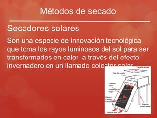 Métodos de secado
Secadores solares
Son una especie de innovación tecnológica
que toma los rayos luminosos del sol para ser
transformados en calor a través del efecto
invernadero en un llamado colector solar.
 