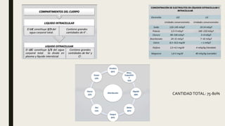 CANTIDADTOTAL: 75-80%
 