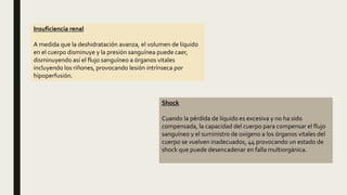 Insuficiencia renal
A medida que la deshidratación avanza, el volumen de líquido
en el cuerpo disminuye y la presión sanguínea puede caer,
disminuyendo así el flujo sanguíneo a órganos vitales
incluyendo los riñones, provocando lesión intrínseca por
hipoperfusión.
Shock
Cuando la pérdida de líquido es excesiva y no ha sido
compensada, la capacidad del cuerpo para compensar el flujo
sanguíneo y el suministro de oxígeno a los órganos vitales del
cuerpo se vuelven inadecuados, 44 provocando un estado de
shock que puede desencadenar en falla multiorgánica.
 