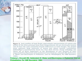 Finberg L, Kravath RE, Hellerstein S. Water and Electrolytes in Pediatrics. 2nd ed.
Philadelphia, Pa: WB Saunders; 1993
 
