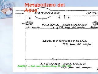 Metabolismo del
      Agua




GAMBLE. — Bull. John Hopkins Hosp. 61: 151. 1937,
 