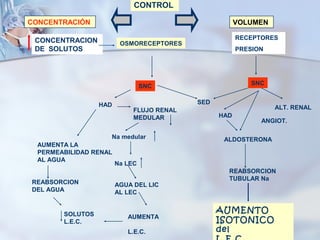 CONTROL

CONCENTRACIÓN                                          VOLUMEN

 CONCENTRACION                                         RECEPTORES
                         OSMORECEPTORES
 DE SOLUTOS                                            PRESION




                                 SNC                      SNC


                  HAD                      SED
                             FLUJO RENAL                         ALT. RENAL
                             MEDULAR             HAD
                                                             ANGIOT.

                    Na medular                    ALDOSTERONA
  AUMENTA LA
  PERMEABILIDAD RENAL
  AL AGUA
                        Na LEC
                                                   REABSORCION
                                                   TUBULAR Na
REABSORCION             AGUA DEL LIC
DEL AGUA                AL LEC


        SOLUTOS
                                                 AUMENTO
                           AUMENTA
        L.E.C.             VOLUMEN
                                                 ISOTONICO
                           L.E.C.                del
 