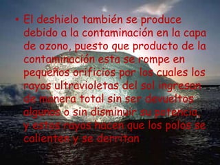 .El deshielo también se produce debido a la contaminación en la capa de ozono, puesto que producto de la contaminación esta se rompe en pequeños orificios por los cuales los rayos ultravioletas del sol ingresan de manera total sin ser devueltos algunos o sin disminuir su potencia, y estos rayos hacen que los polos se calienten y se derritan
