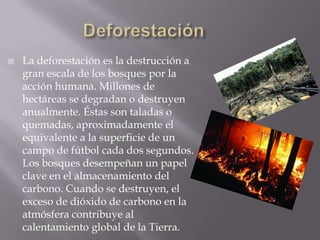  La deforestación es la destrucción a
gran escala de los bosques por la
acción humana. Millones de
hectáreas se degradan o destruyen
anualmente. Éstas son taladas o
quemadas, aproximadamente el
equivalente a la superficie de un
campo de fútbol cada dos segundos.
Los bosques desempeñan un papel
clave en el almacenamiento del
carbono. Cuando se destruyen, el
exceso de dióxido de carbono en la
atmósfera contribuye al
calentamiento global de la Tierra.
 