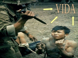 VIDA