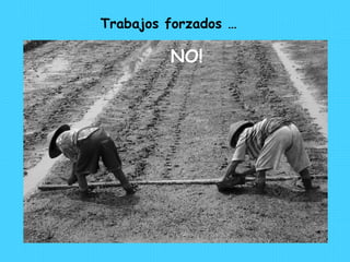 Trabajos forzados … NO!
