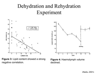 Dehydration and Rehydration
Experiment
Figure 3: Lipid content showed a strong
negative correlation.
Figure 4: Haemolymph volume
declined.
(Naidu, 2001)
 