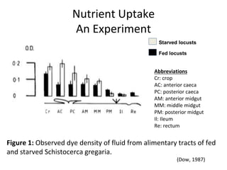 Nutrient Uptake
An Experiment
Abbreviations
Cr: crop
AC: anterior caeca
PC: posterior caeca
AM: anterior midgut
MM: middle midgut
PM: posterior midgut
Il: Ileum
Re: rectum
(Dow, 1987)
Figure 1: Observed dye density of fluid from alimentary tracts of fed
and starved Schistocerca gregaria.
Starved locusts
Fed locusts
 