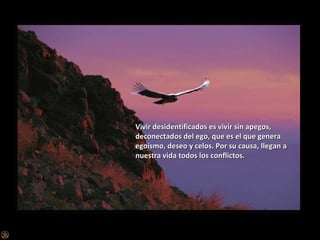 Vivir desidentificados es vivir sin apegos, deconectados del ego, que es el que genera egoísmo, deseo y celos. Por su causa, llegan a nuestra vida todos los conflictos. 