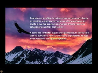 Cuando uno se aflige, lo primero que se nos ocurre hacer es cambiar lo que hay en nuestro entorno para que se ajuste a nuestra programación, pues creemos que eso solucionará nuestros problemas. Y como los conflictos siguen atosigándonos, la frustración viene a sumarse a nuestra aflicción y el problema no sólo no se resuelve, sino que se agranda. 