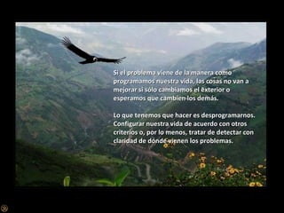 Si el problema viene de la manera como programamos nuestra vida, las cosas no van a mejorar si sólo cambiamos el exterior o esperamos que cambien los demás. Lo que tenemos que hacer es desprogramarnos. Configurar nuestra vida de acuerdo con otros criterios o, por lo menos, tratar de detectar con claridad de dónde vienen los problemas.  