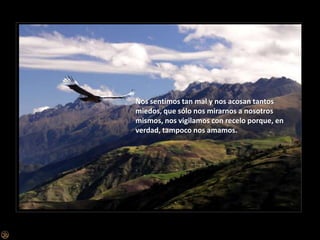 Nos sentimos tan mal y nos acosan tantos miedos, que sólo nos mirarnos a nosotros mismos, nos vigilamos con recelo porque, en verdad, tampoco nos amamos.