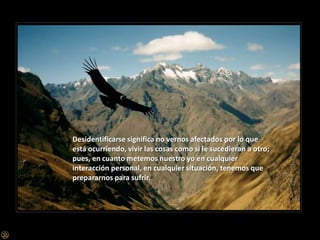 Desidentificarse significa no vernos afectados por lo que está ocurriendo, vivir las cosas como si le sucedieran a otro; pues, en cuanto metemos nuestro yo en cualquier interacción personal, en cualquier situación, tenemos que prepararnos para sufrir. 