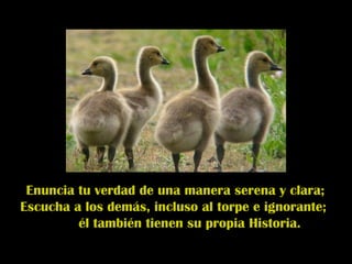 Enuncia tu verdad de una manera serena y clara;  Escucha a los demás, incluso al torpe e ignorante;  él también tienen su propia Historia.  