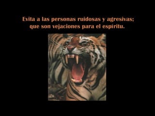 Evita a las personas ruidosas y agresivas; que son vejaciones para el espíritu.  