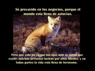 Sé precavido en los negocios, porque el mundo está lleno de astucias. Pero que esto no ciegue tus ojos ante la virtud que existe; muchas personas luchan por altos ideales, y en todas partes la vida está llena de heroísmo.  