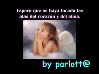 Espero que os haya tocado las alas del corazón y del alma. by parlott@ 