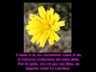 Y tanto si lo ves claramente como si no, el Universo evoluciona tal como debe. Por lo tanto, vive en paz con Dios, no importa cómo Lo concibas.  