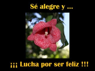 ¡¡¡ Lucha por ser feliz !!! Sé alegre y …  