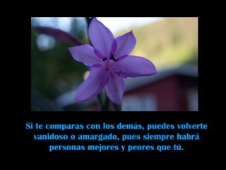 Si te comparas con los demás, puedes volverte vanidoso o amargado, pues siempre habrá personas mejores y peores que tú. 