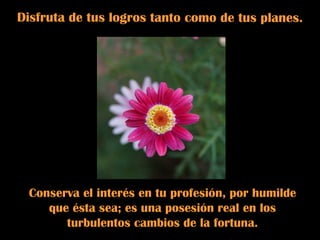 Disfruta de tus logros tanto como de tus planes.  Conserva el interés en tu profesión, por humilde que ésta sea; es una posesión real en los turbulentos cambios de la fortuna. 