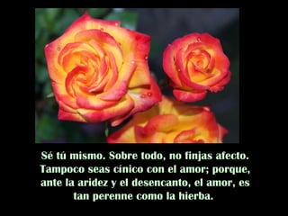 Sé tú mismo. Sobre todo, no finjas afecto. Tampoco seas cínico con el amor; porque, ante la aridez y el desencanto, el amor, es tan perenne como la hierba.  