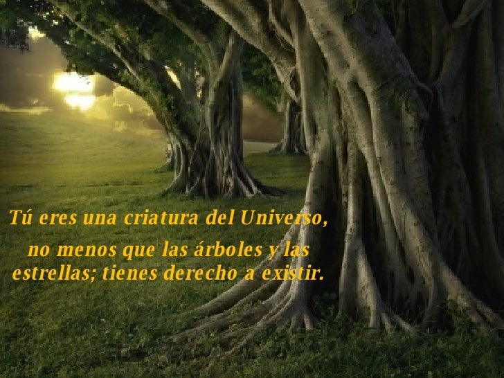 Desiderata