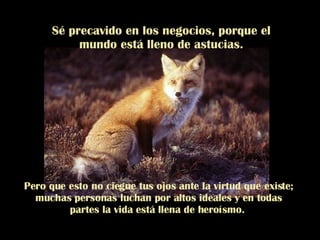 Sé precavido en los negocios, porque el mundo está lleno de astucias. Pero que esto no ciegue tus ojos ante la virtud que existe; muchas personas luchan por altos ideales y en todas partes la vida está llena de heroísmo.  